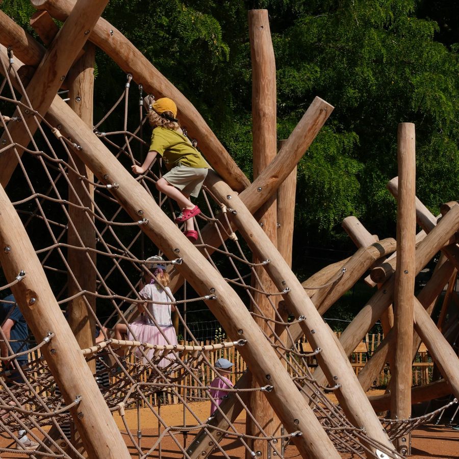 Dinosaur Playground